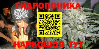 стаф Бузулук