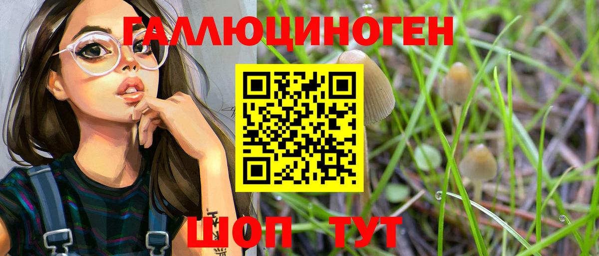 Псилоцибиновые грибы Psilocybe Рыбинск